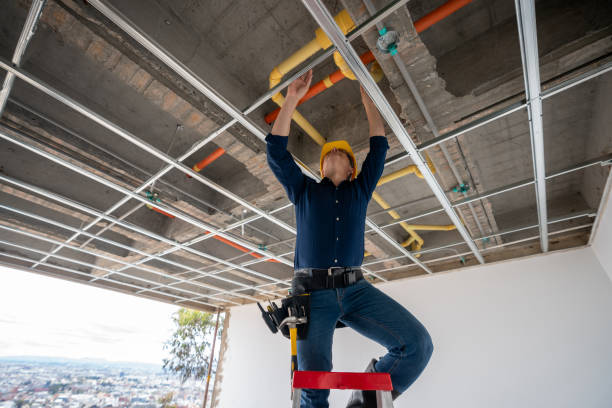 Best Plumbing Services Near Me  in New Carlisle, IN