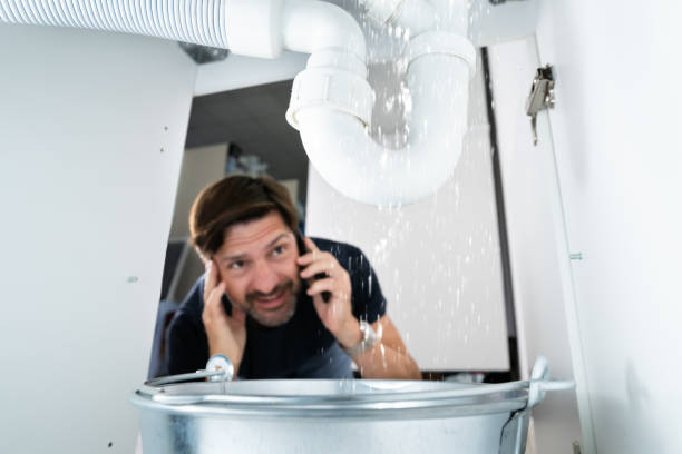 Best Sprinkler Systems  in New Carlisle, IN