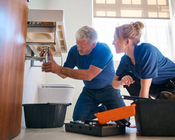 Best Pipe Repair Near Me  in New Carlisle, IN